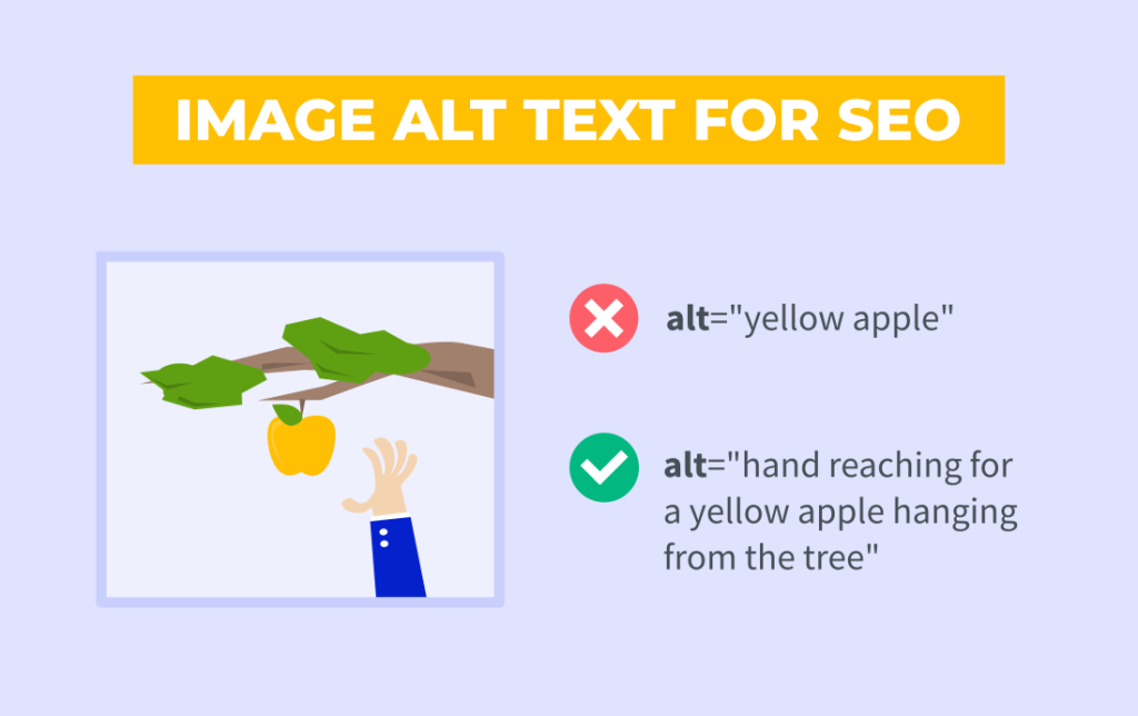 What is Alt Text and Why is It Important for SEO