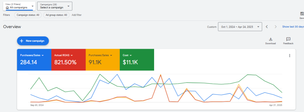 Google Ads Results
